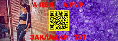 шишки Кингисепп