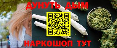 шишки Кингисепп