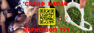 шишки Кингисепп