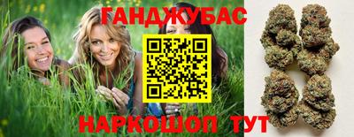 шишки Кингисепп