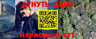 шишки Кингисепп