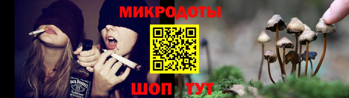 Псилоцибиновые грибы GOLDEN TEACHER  Вход с VPN  Кингисепп  Галлюциногенные грибы прущие грибы 